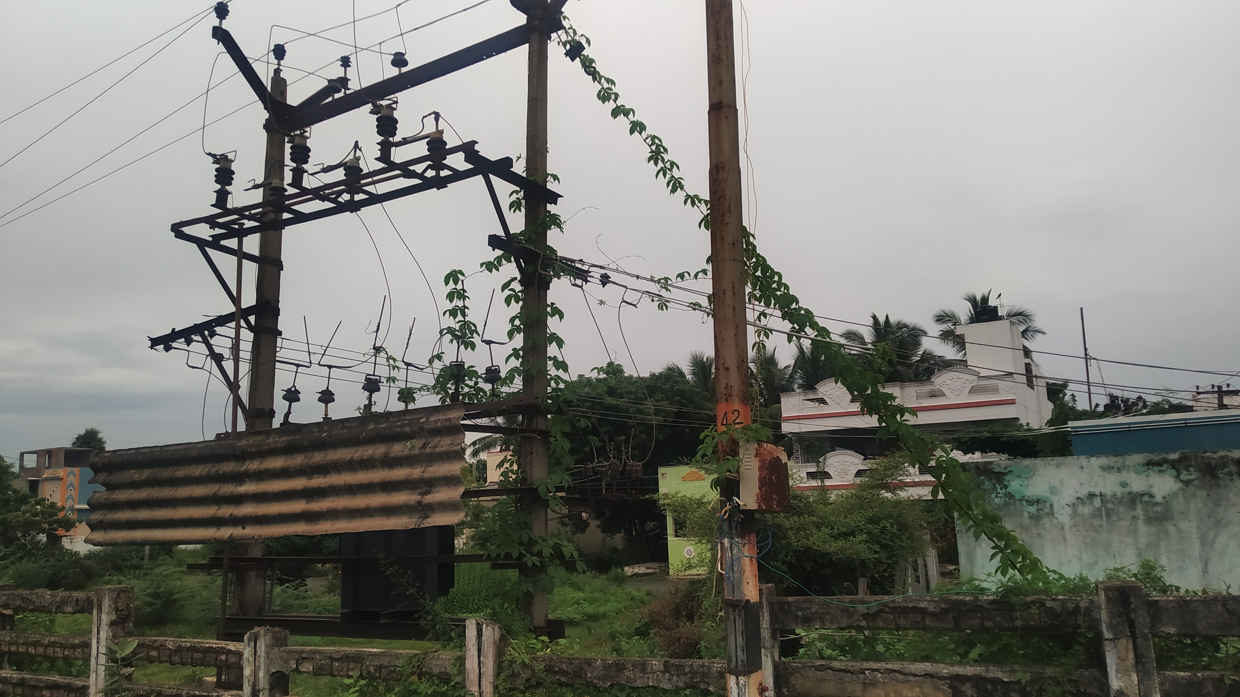 டிரான்ஸ்பார்மரில் படர்ந்திருக்கும் செடி கொடிகள் டிரான்ஸ்பார்மரில் படர்ந்திருக்கும் செடி கொடிகள்