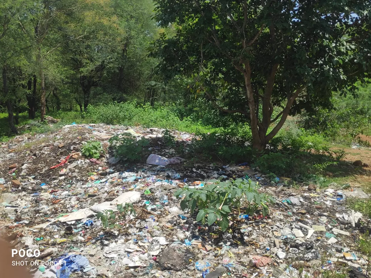 குப்பை கிடங்காக மாறிய ஏரி குப்பை கிடங்காக மாறிய ஏரி