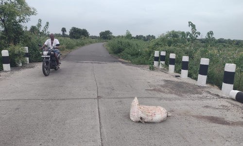 மாமிச கழிவுகளால் துர்நாற்றம்