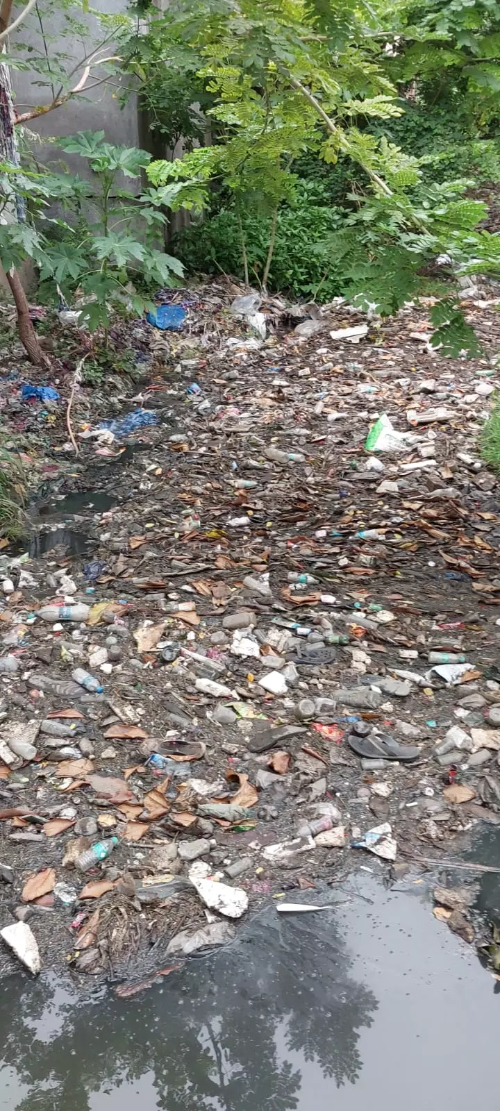 கால்வாயை சீரமைக்க கோரிக்கை