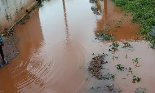 நோய் பரவும் அபாயம்