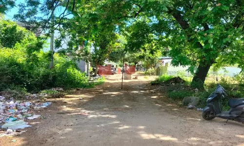 சீரமைக்கப்படாத பாலம்