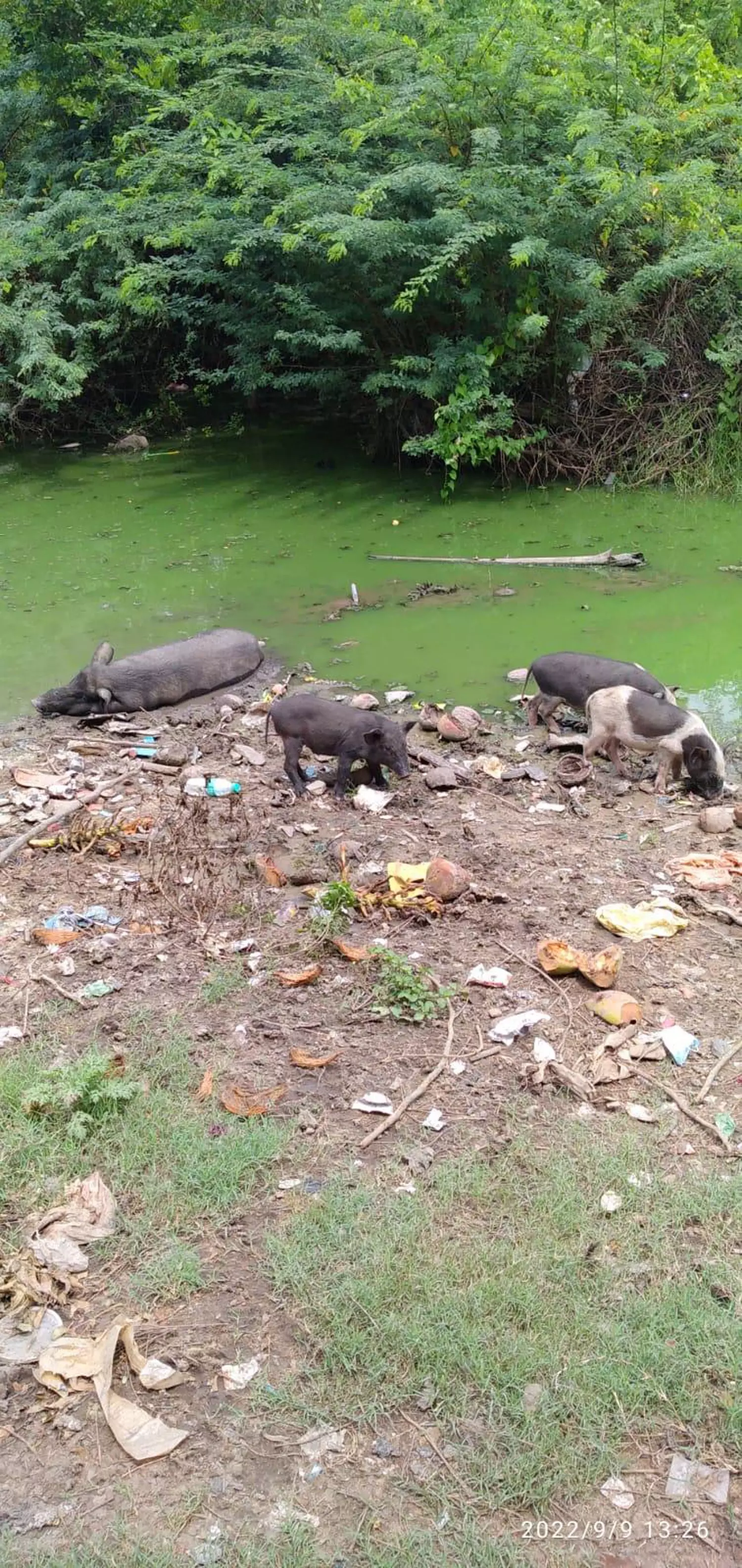 கழிவுநீர் கால்வாய் வசதி தேவை