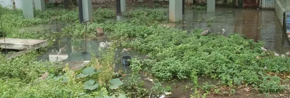 வீணாகும் குடிநீா் வீணாகும் குடிநீா்