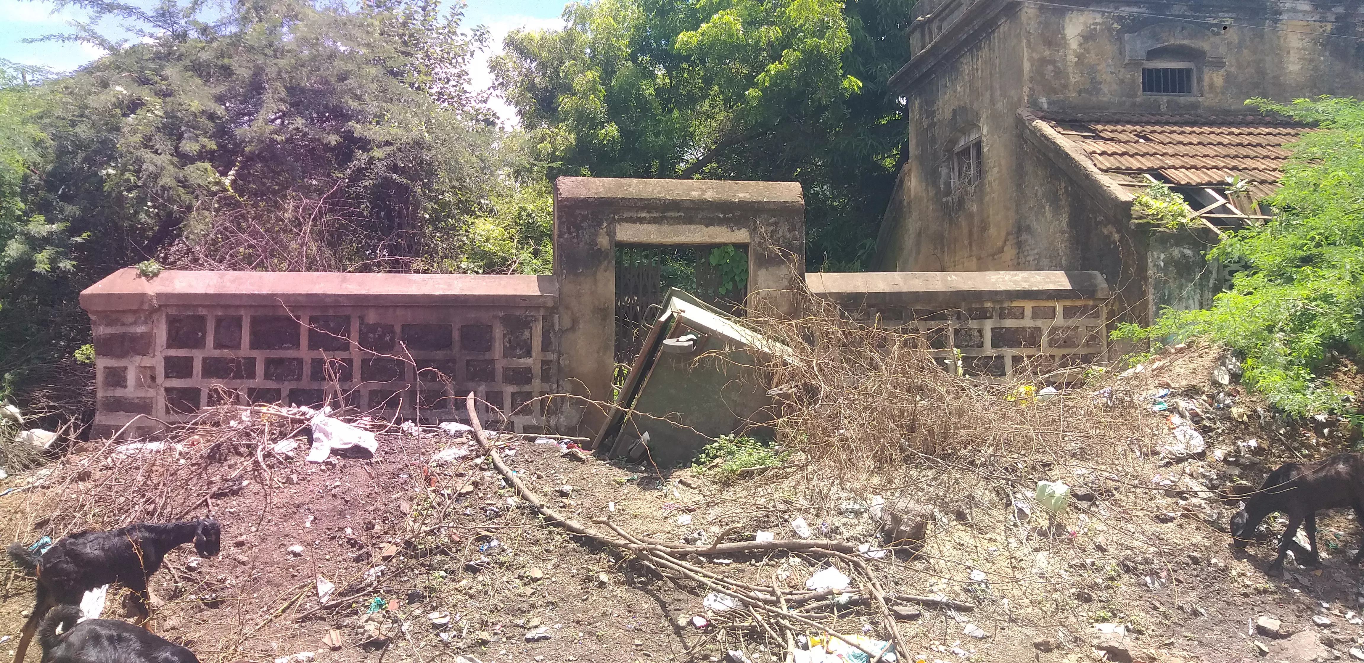 பயன்பாடற்ற பட்டி பயன்பாடற்ற பட்டி