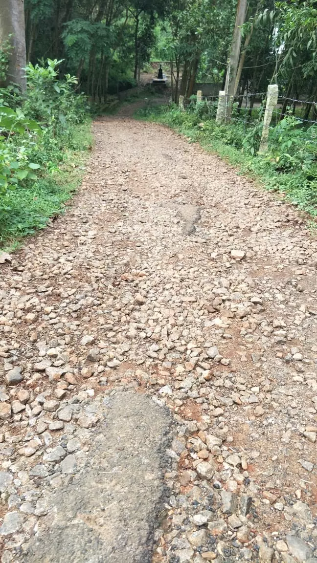 சாலையை சீரமைக்க வேண்டும்