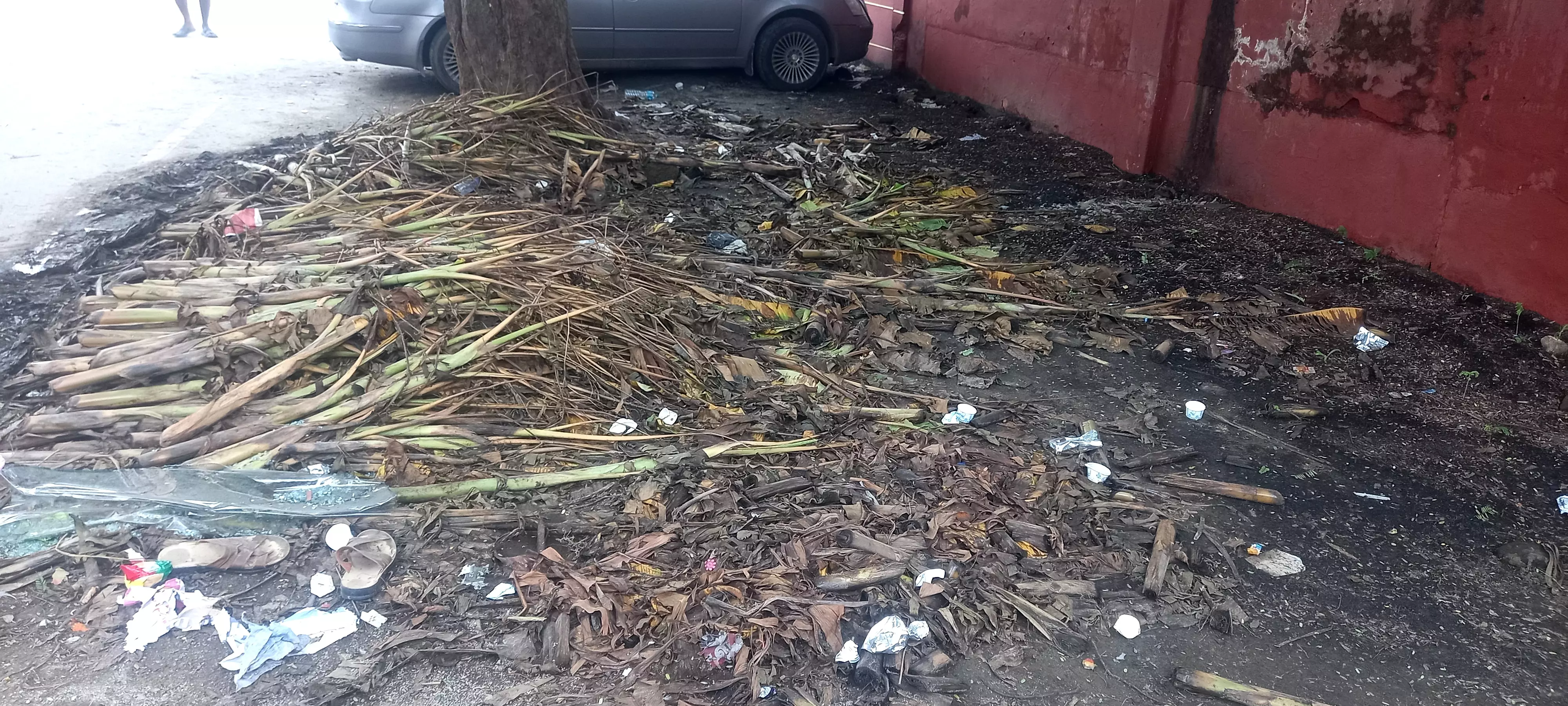 குப்பைகளை அகற்றவில்லை