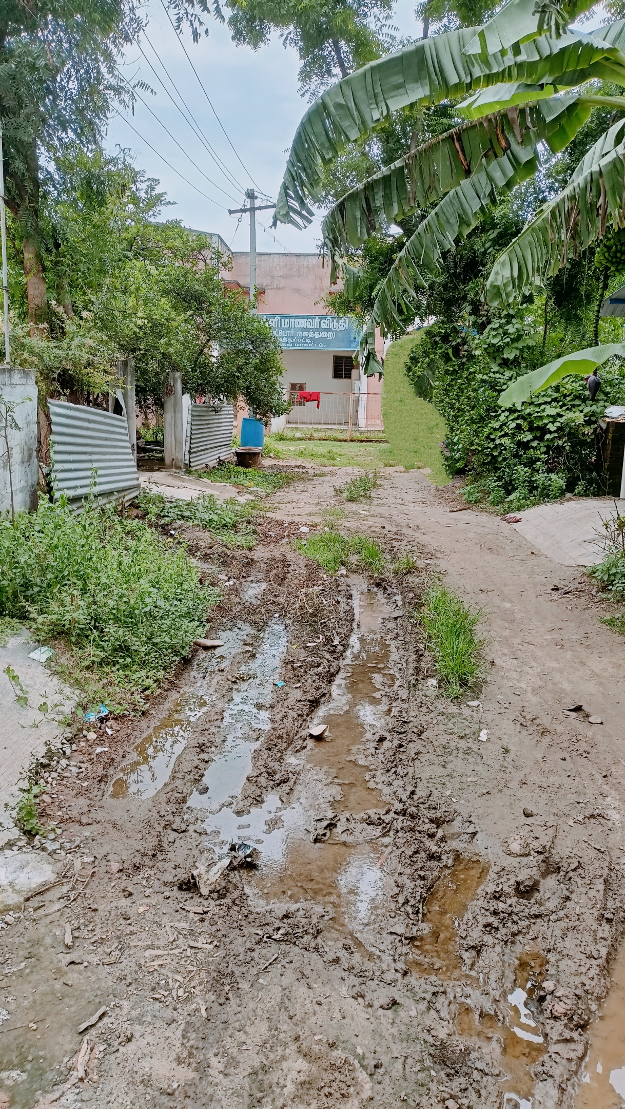 நோய் பரவும் அபாயம்