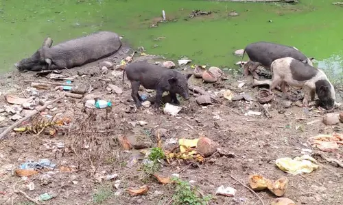 கழிவுநீர் கால்வாய் வசதி தேவை கழிவுநீர் கால்வாய் வசதி தேவை