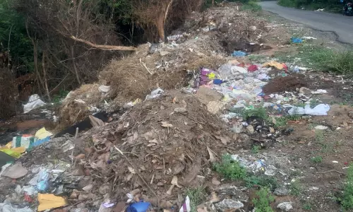 கழிவுகள் அகற்றப்படுமா? கழிவுகள் அகற்றப்படுமா?