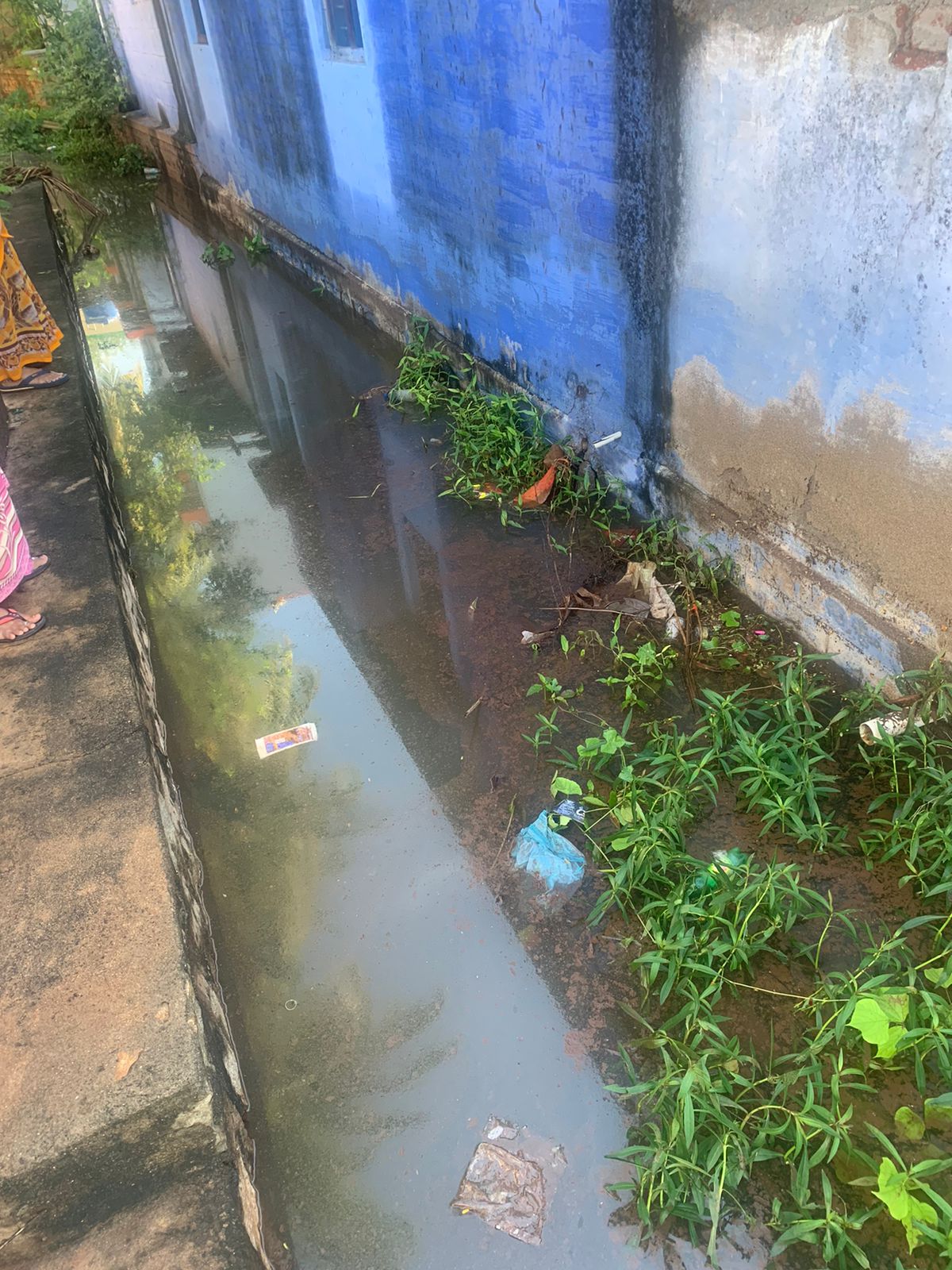 கழிவுநீா் கால்வாயை தூர்வார வேண்டும்