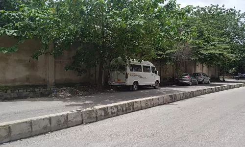 மரக்கிளைகள் வெட்டப்படுமா?