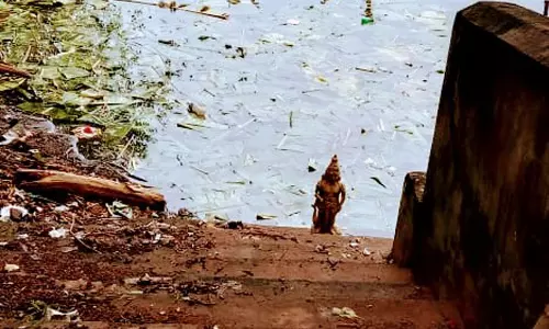 தினத்தந்திக்கு பாராட்டு தினத்தந்திக்கு பாராட்டு