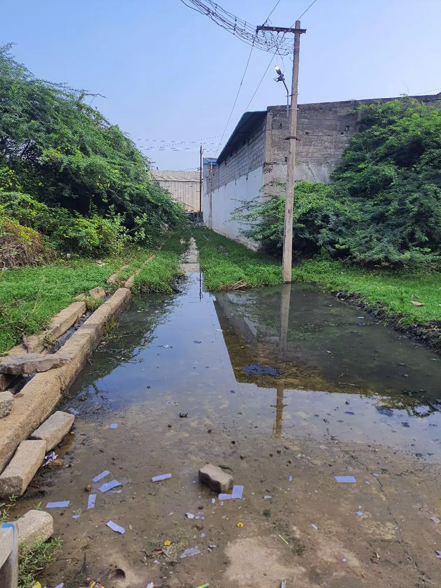 தேங்கி நிற்கும் மழைநீரை வடிய வைக்க வேண்டும் தேங்கி நிற்கும் மழைநீரை வடிய வைக்க வேண்டும்