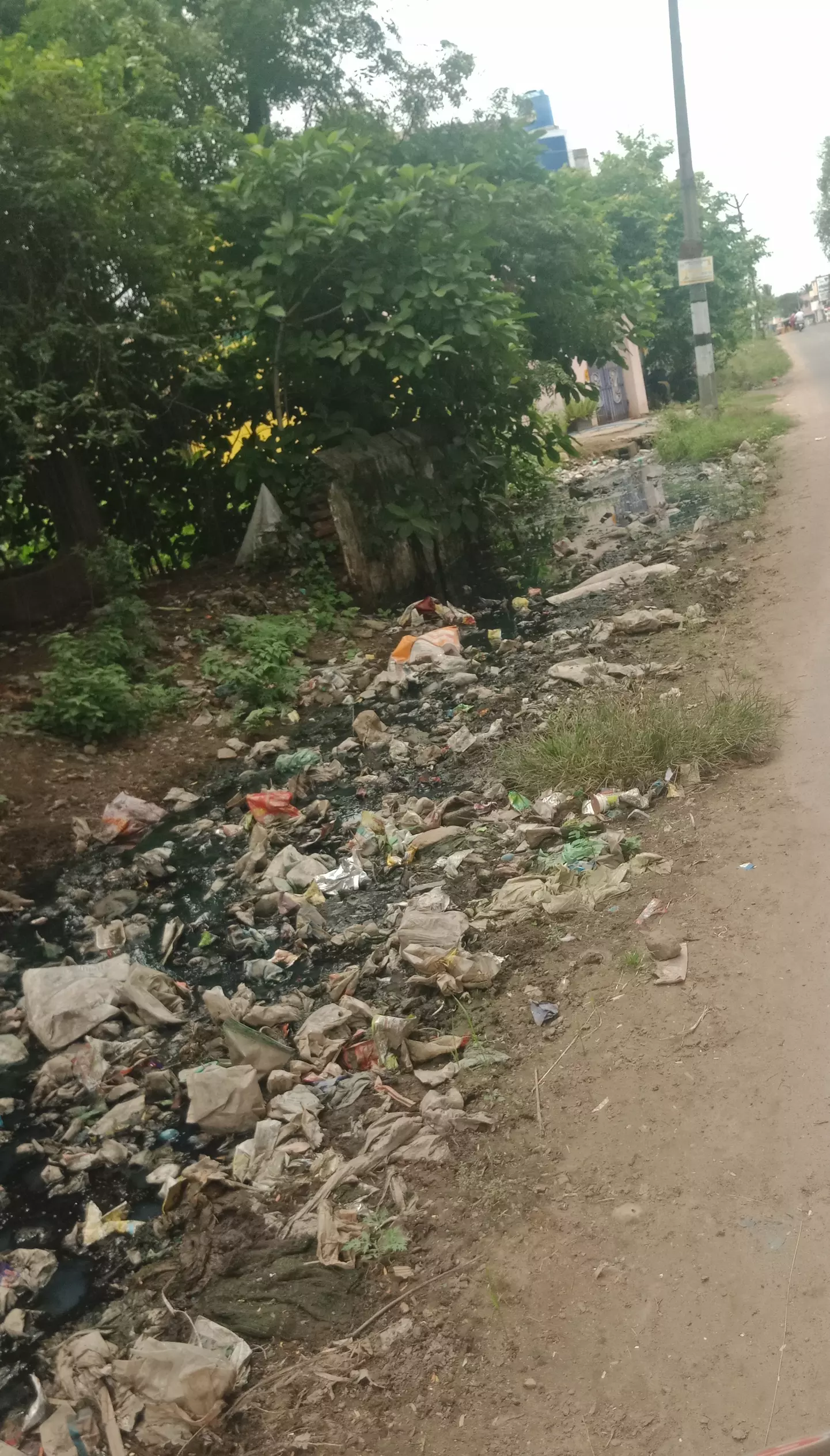 கால்வாயை தூர்வார வேண்டும்