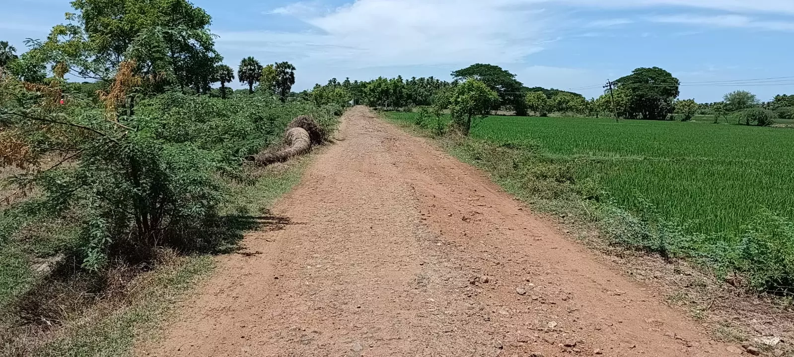 பணிகள் விரைந்து முடிக்கப்படுமா?
