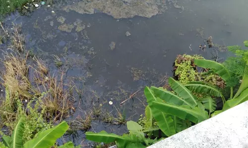 குடிநீருடன் கலக்கும் கழிவுநீர் குடிநீருடன் கலக்கும் கழிவுநீர்