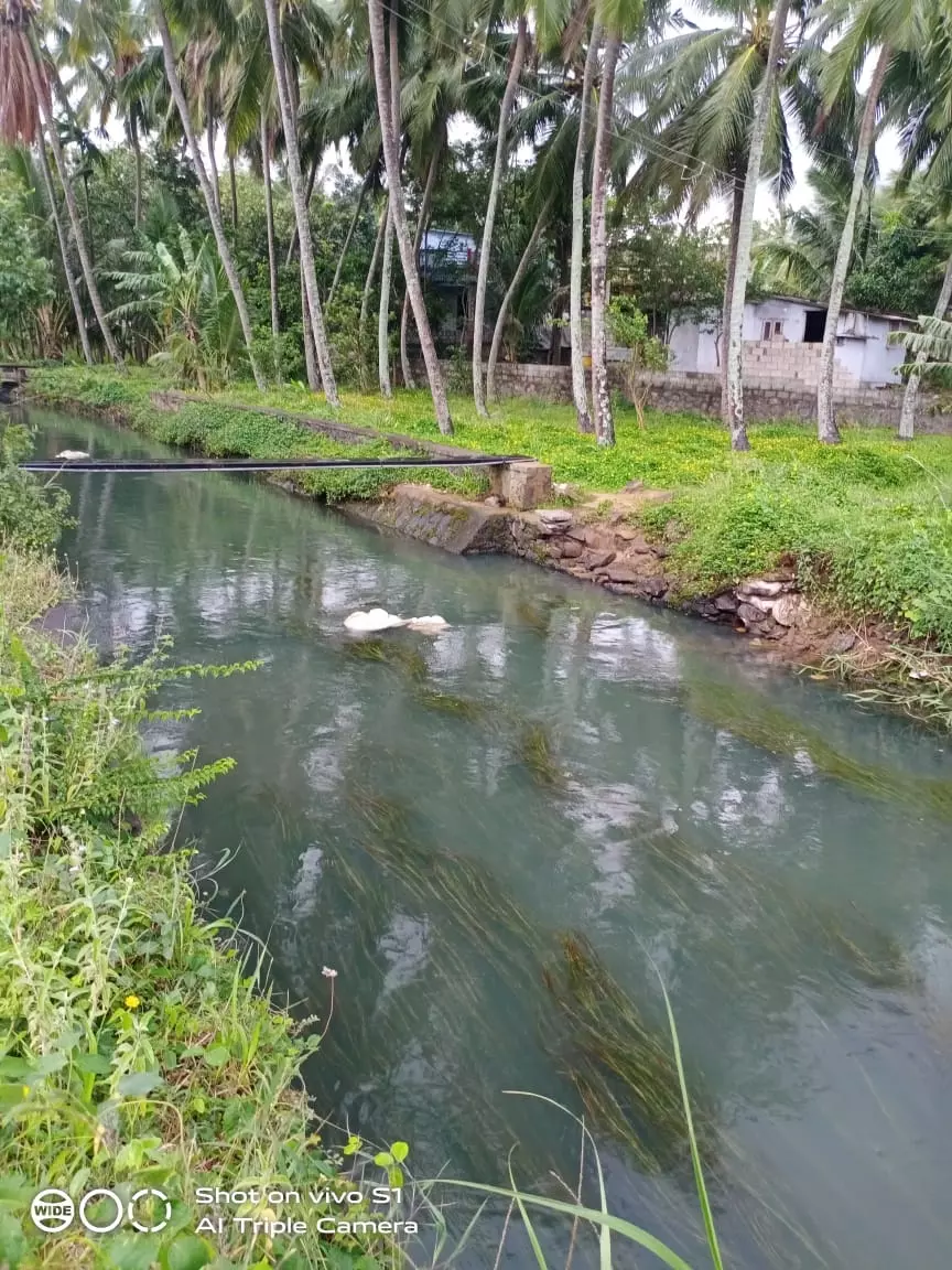 சுகாதார சீர்கேடு சுகாதார சீர்கேடு