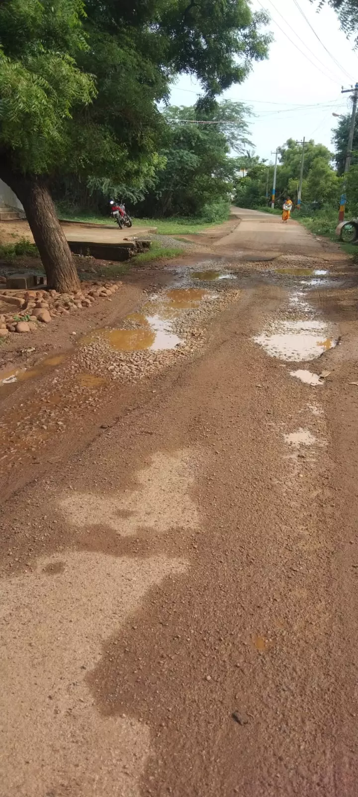 சாலை சீரமைக்கப்படுமா?