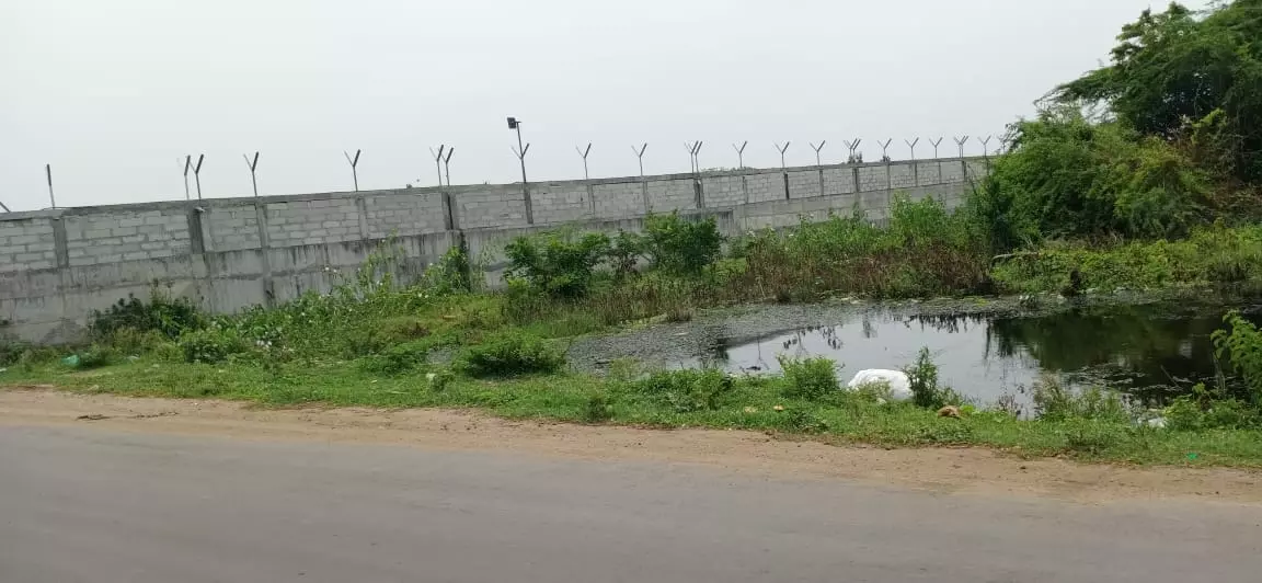 குளம் தூர்வாரப்படுமா?