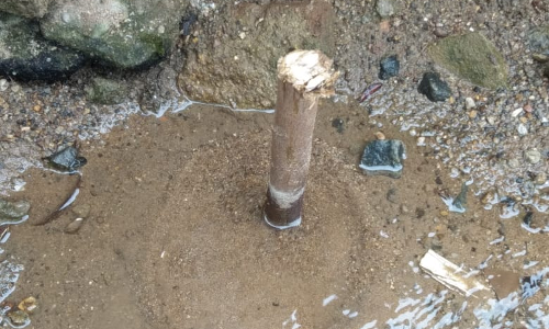 வீணாகும் குடிநீர்