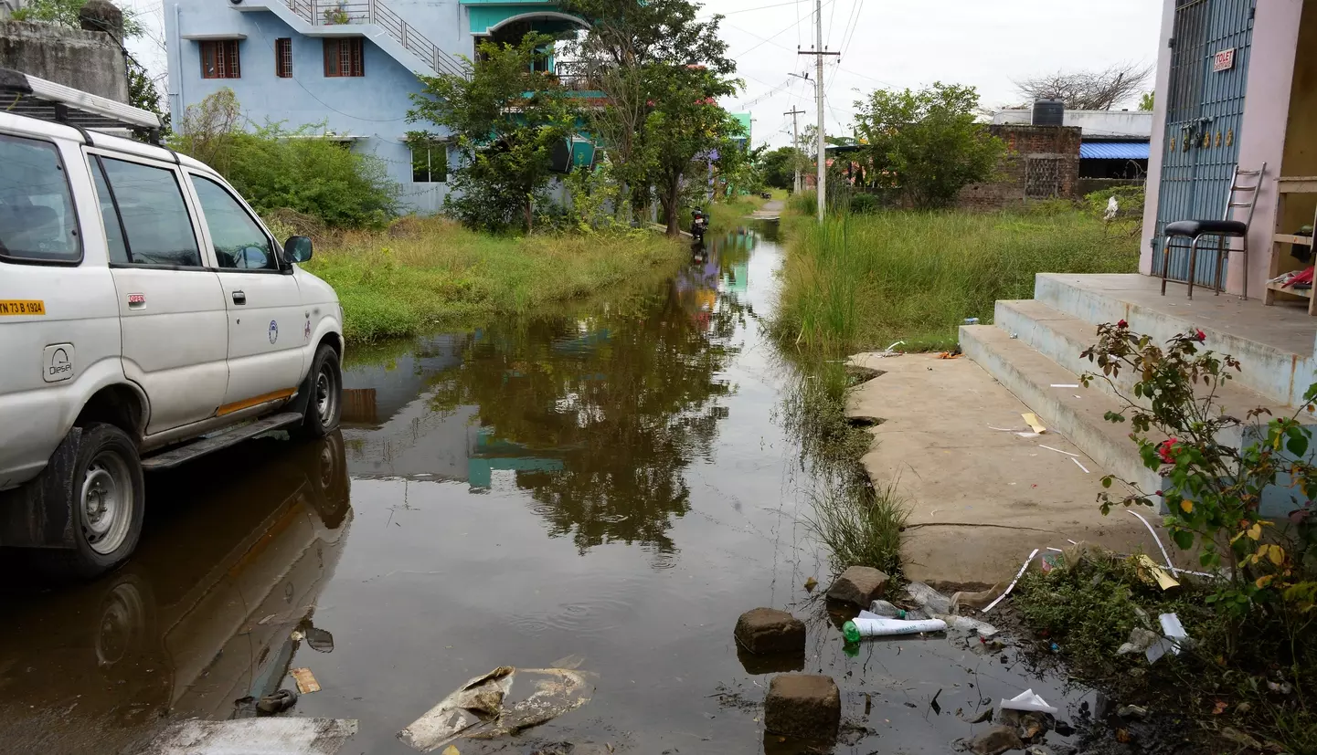 தேங்கி நிற்கும் மழைநீரில் கொசு உற்பத்தி தேங்கி நிற்கும் மழைநீரில் கொசு உற்பத்தி