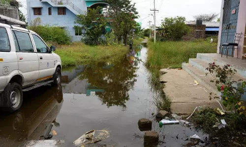 தேங்கி நிற்கும் மழைநீரில் கொசு உற்பத்தி தேங்கி நிற்கும் மழைநீரில் கொசு உற்பத்தி
