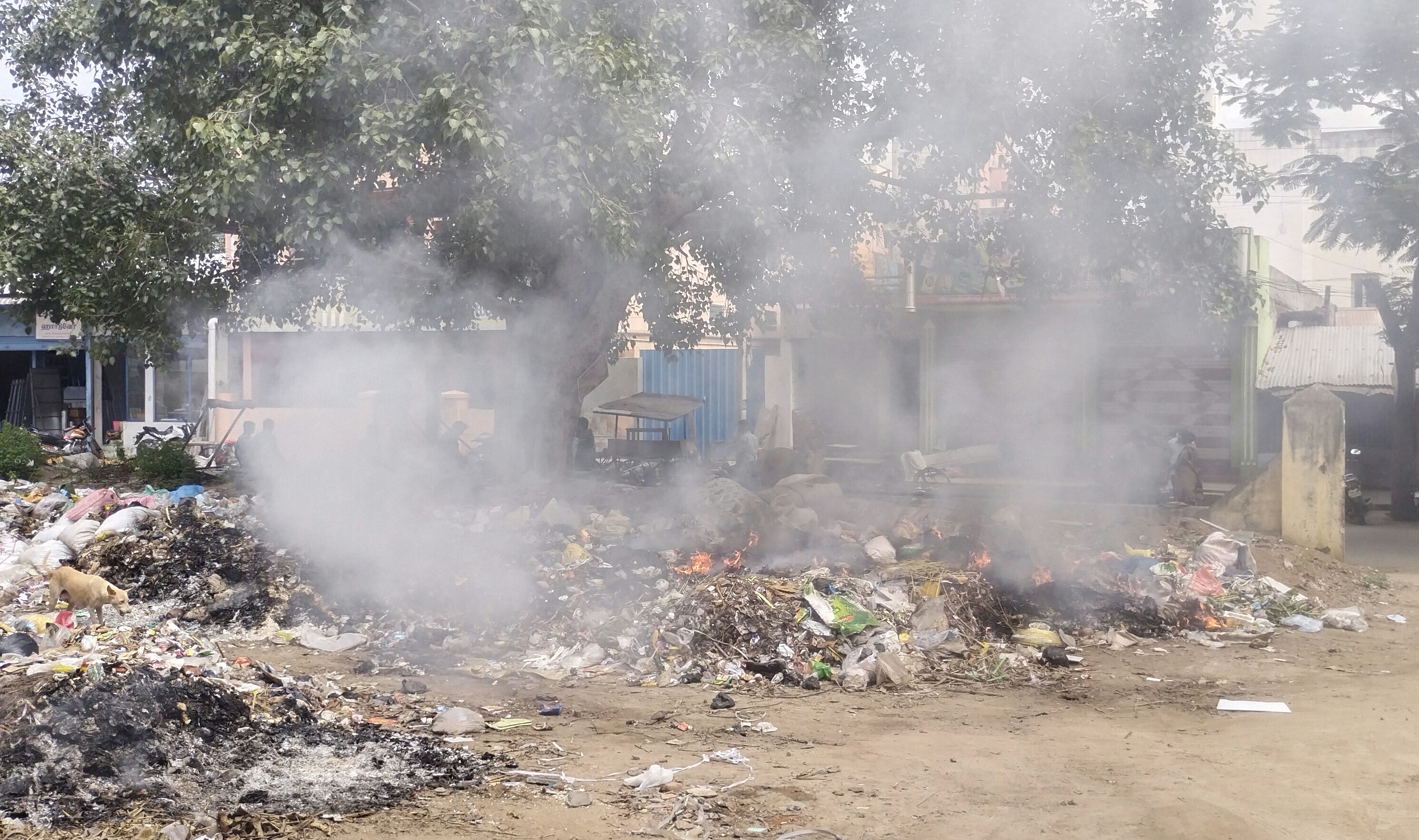 சுகாதார சீர்கேடு