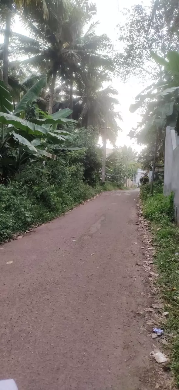 தெருவிளக்கு அமைக்கப்படுமா? தெருவிளக்கு அமைக்கப்படுமா?