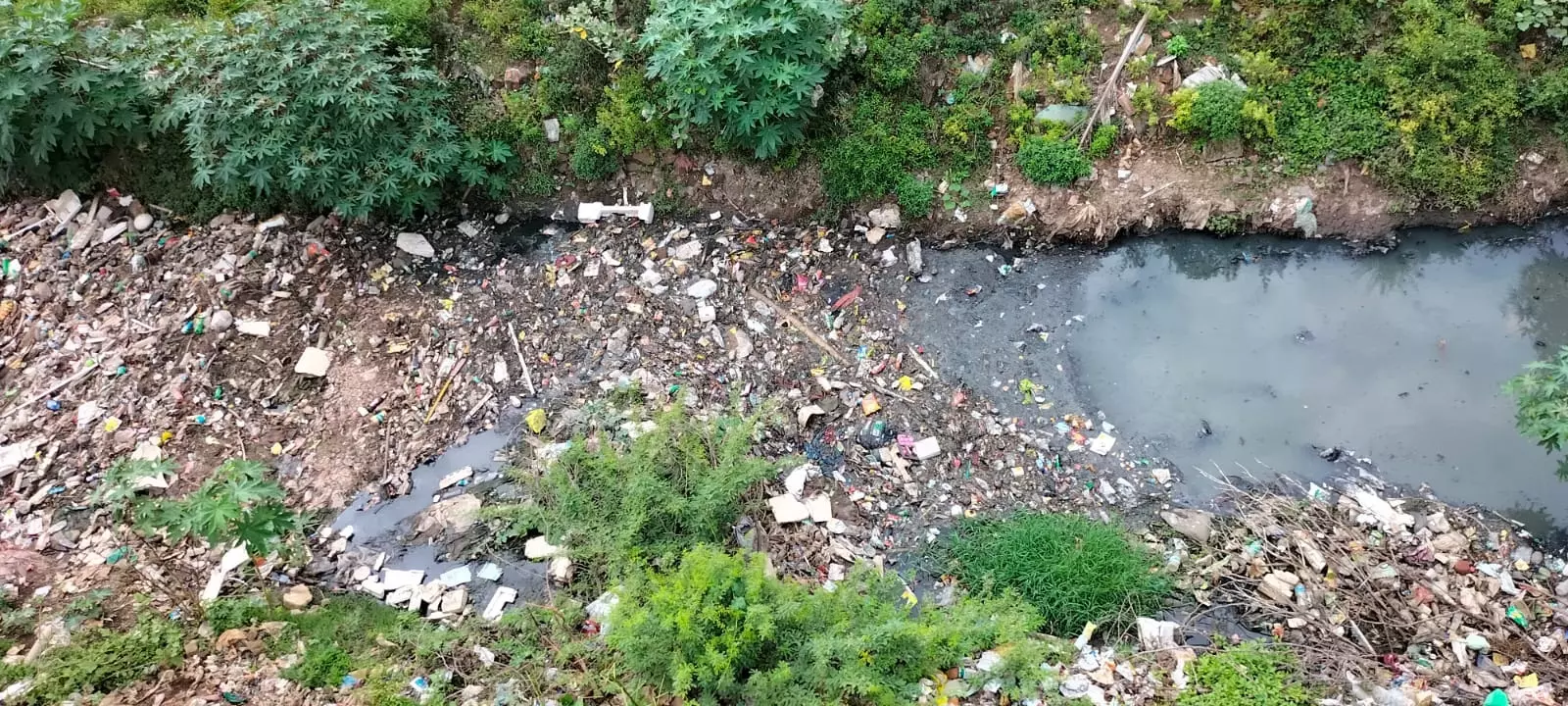 சுகாதார சீர்கேடு சுகாதார சீர்கேடு