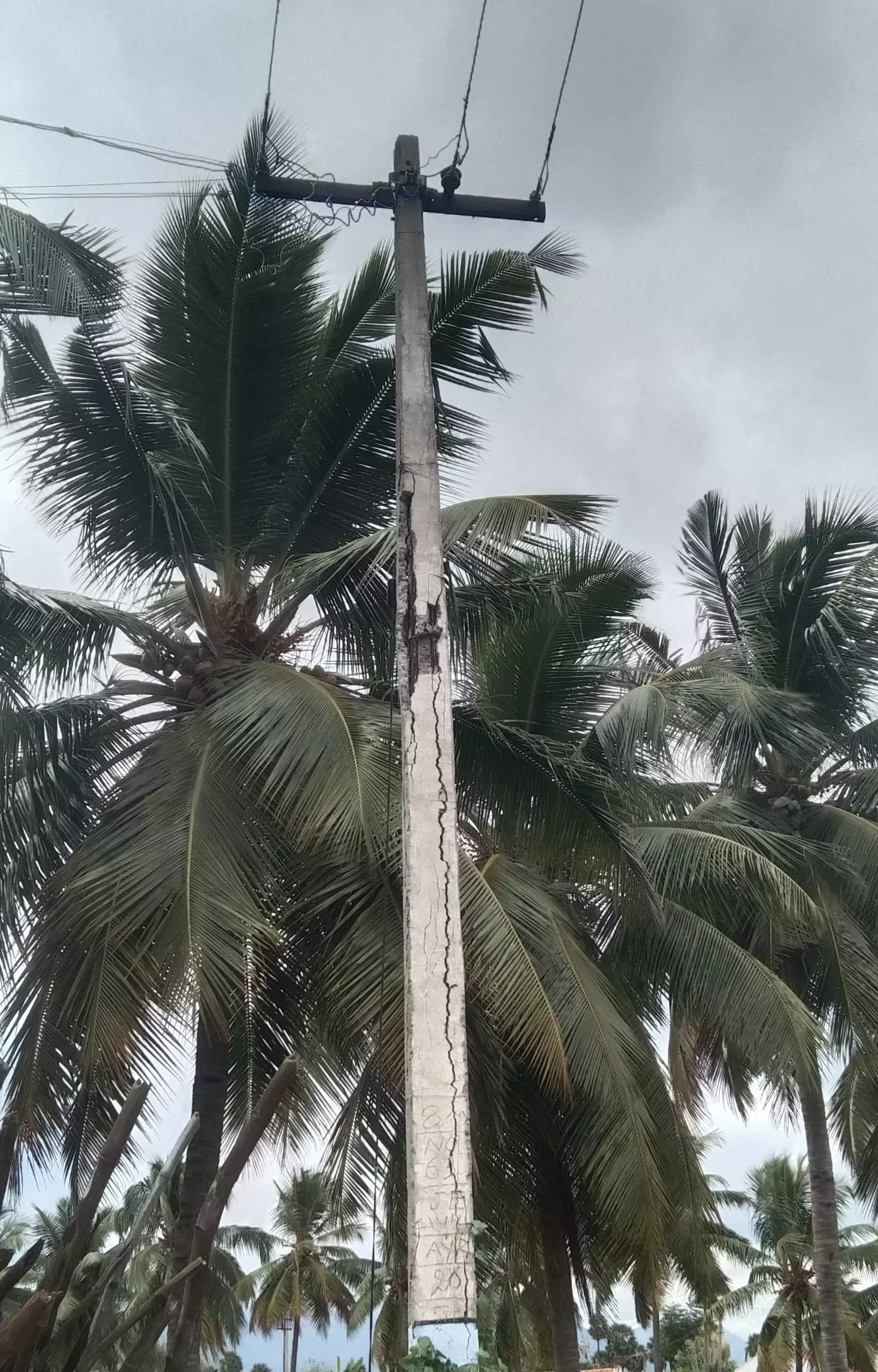 ஆபத்தான மின்கம்பம்