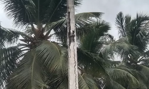 ஆபத்தான மின்கம்பம்