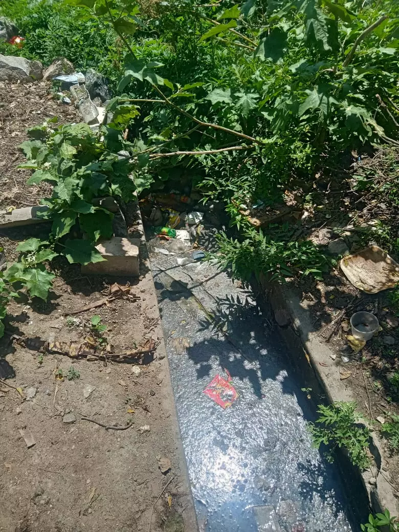 ஒளிராத மின்விளக்கு