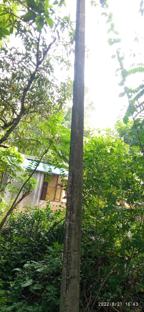 மின்கம்பம் மாற்றப்பட்டது