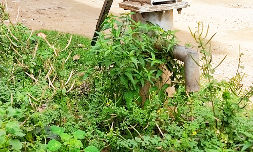 பயனற்று கிடக்கும் அடிபம்பு பயனற்று கிடக்கும் அடிபம்பு