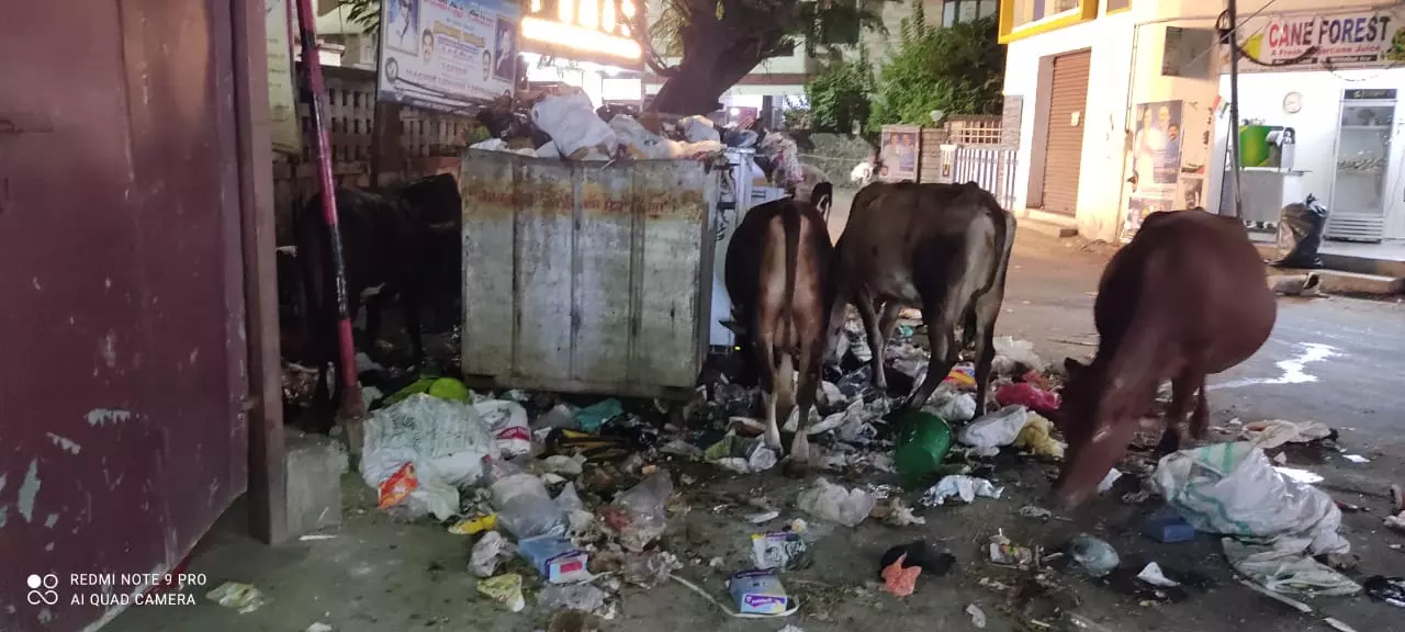 அலங்கோலமான தெரு. அலங்கோலமான தெரு.