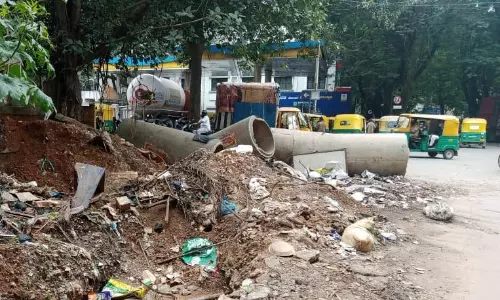 சாலையில் கிடக்கும் கழிவுகள்