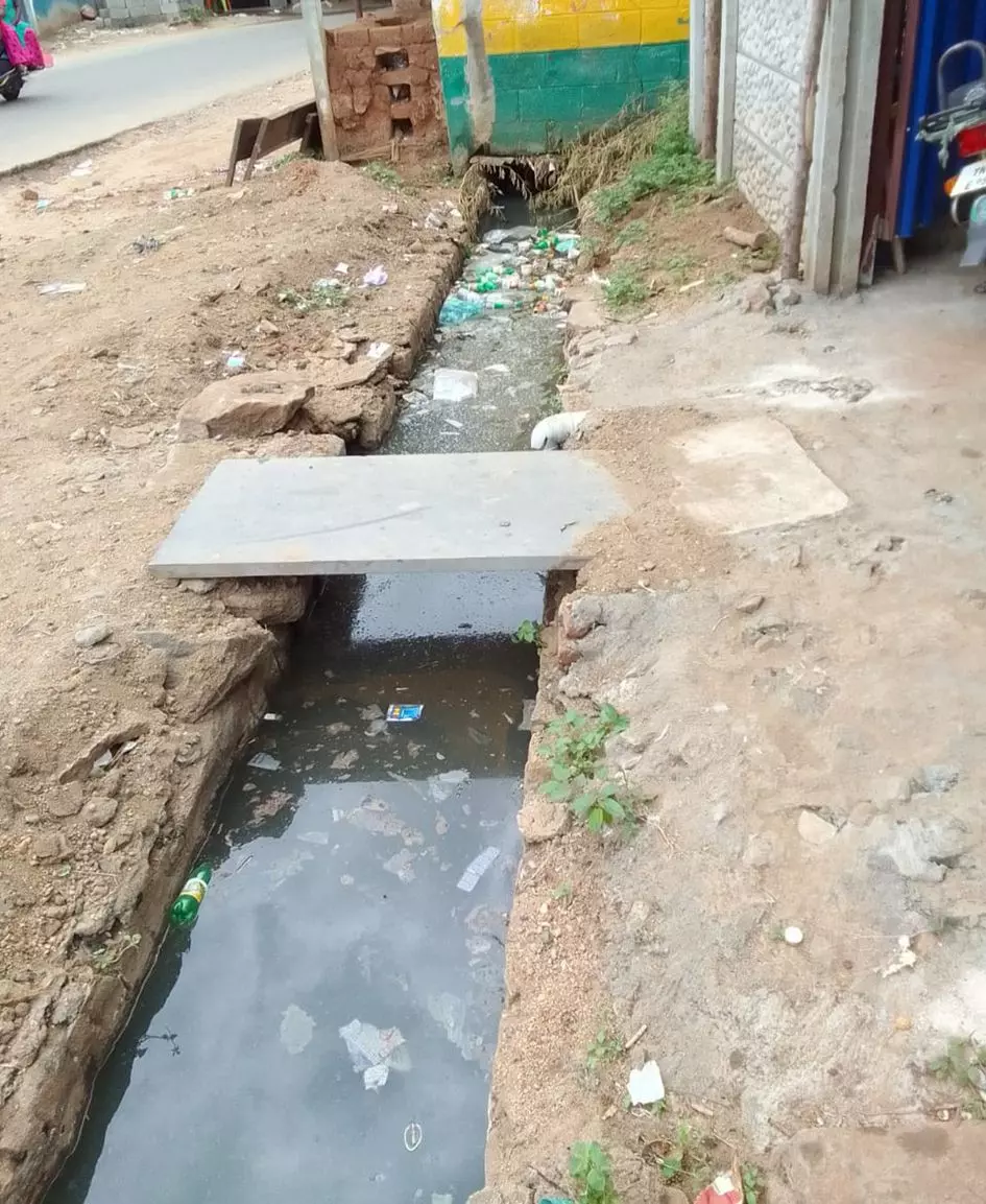 சாக்கடை கால்வாய் தூர்வாரப்படுமா?