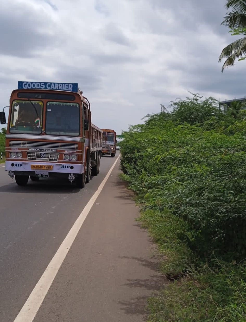 சாலையை ஆக்கிரமித்த முட்செடிகள்