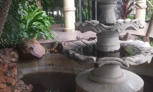 நோய் பரவும் அபாயம்