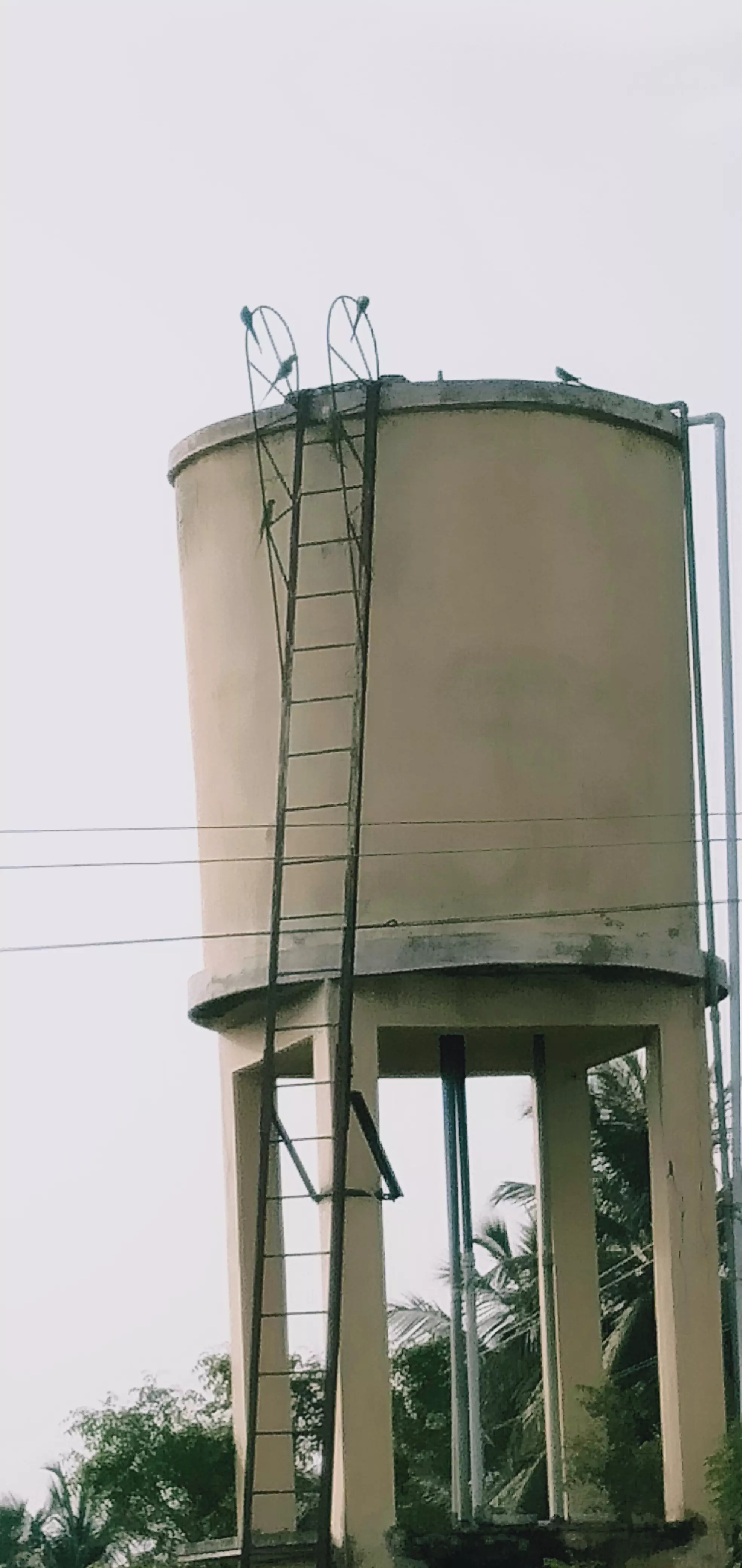 பயன்படாத குடிநீர் தொட்டி பயன்படாத குடிநீர் தொட்டி