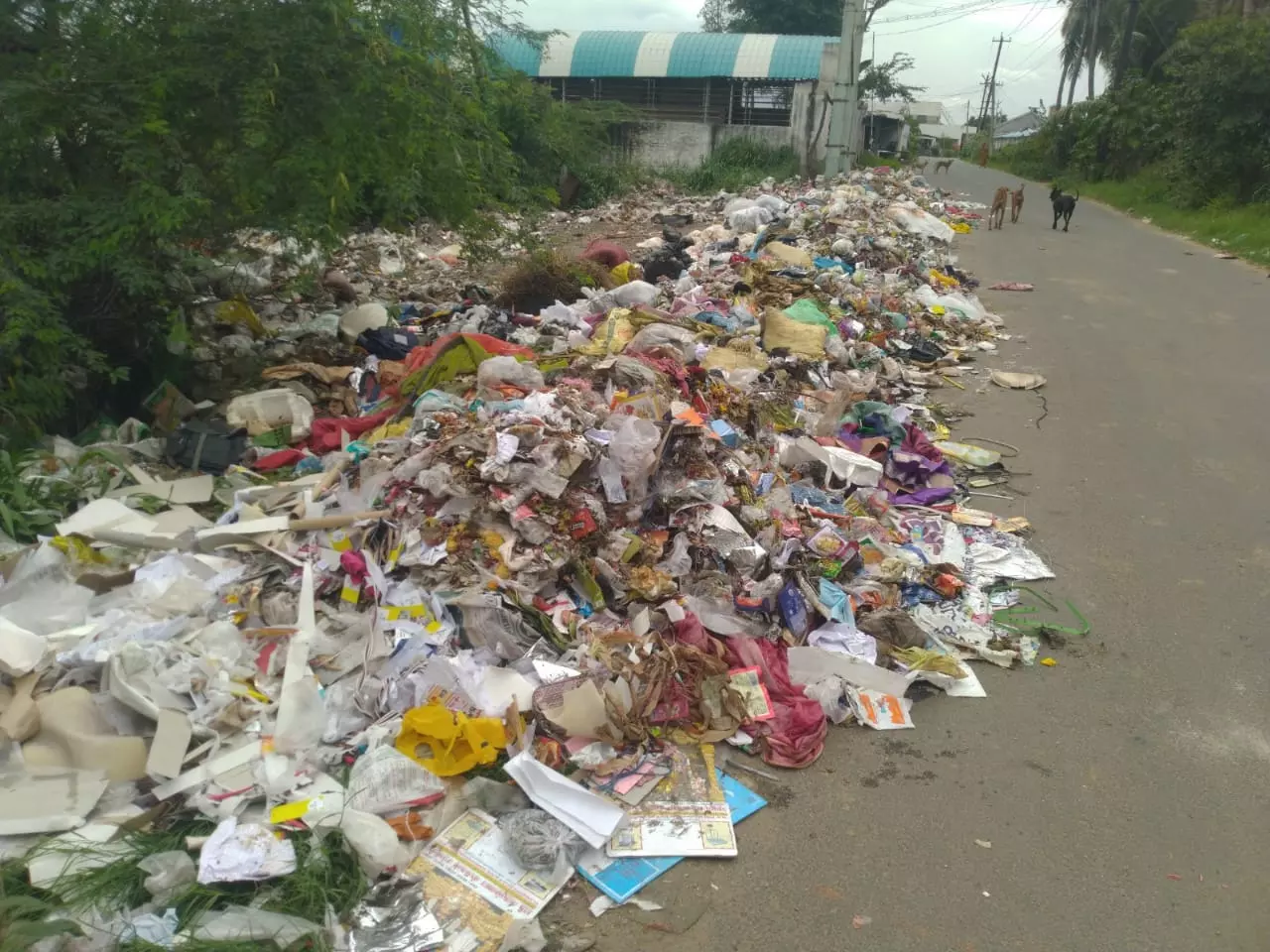 புகார்பெட்டி செய்தி எதிரொலி; குப்பைகள் அகற்றம்