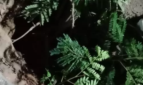 சாலையில் அபாயகரமான பள்ளம் சாலையில் அபாயகரமான பள்ளம்