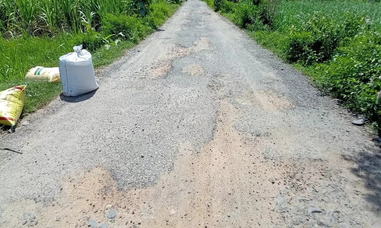 சாலையை சீரமைக்க வேண்டும் சாலையை சீரமைக்க வேண்டும்