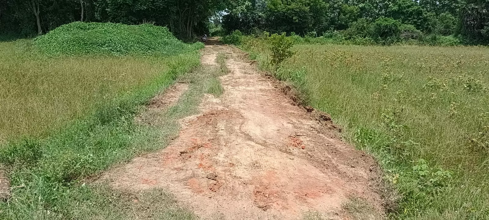 சுடுகாட்டுக்கு சாலை அமைக்க வேண்டும் சுடுகாட்டுக்கு சாலை அமைக்க வேண்டும்