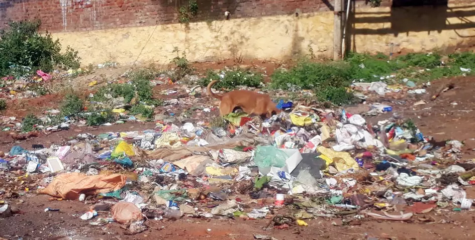 சாலையோரம் குவிந்த குப்பைகள்