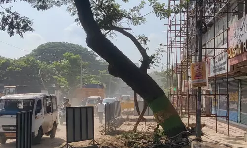 சாலையில் இடையூறு