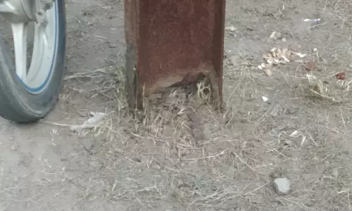 துருப்பிடித்த மின்கம்பம்