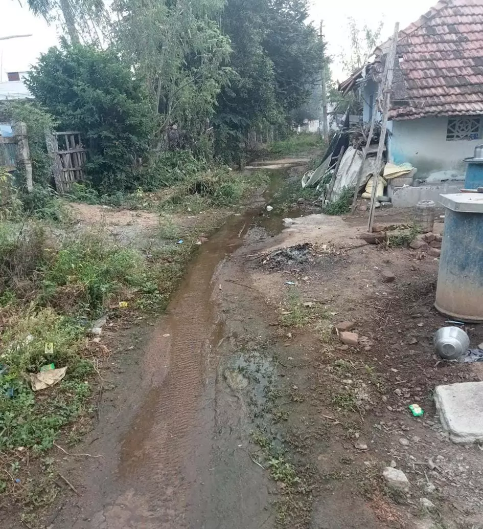 தெருவில் ஓடும் கழிவுநீர் தெருவில் ஓடும் கழிவுநீர்