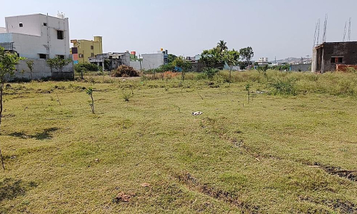 செடிகளை பராமரிப்பார்களா? செடிகளை பராமரிப்பார்களா?